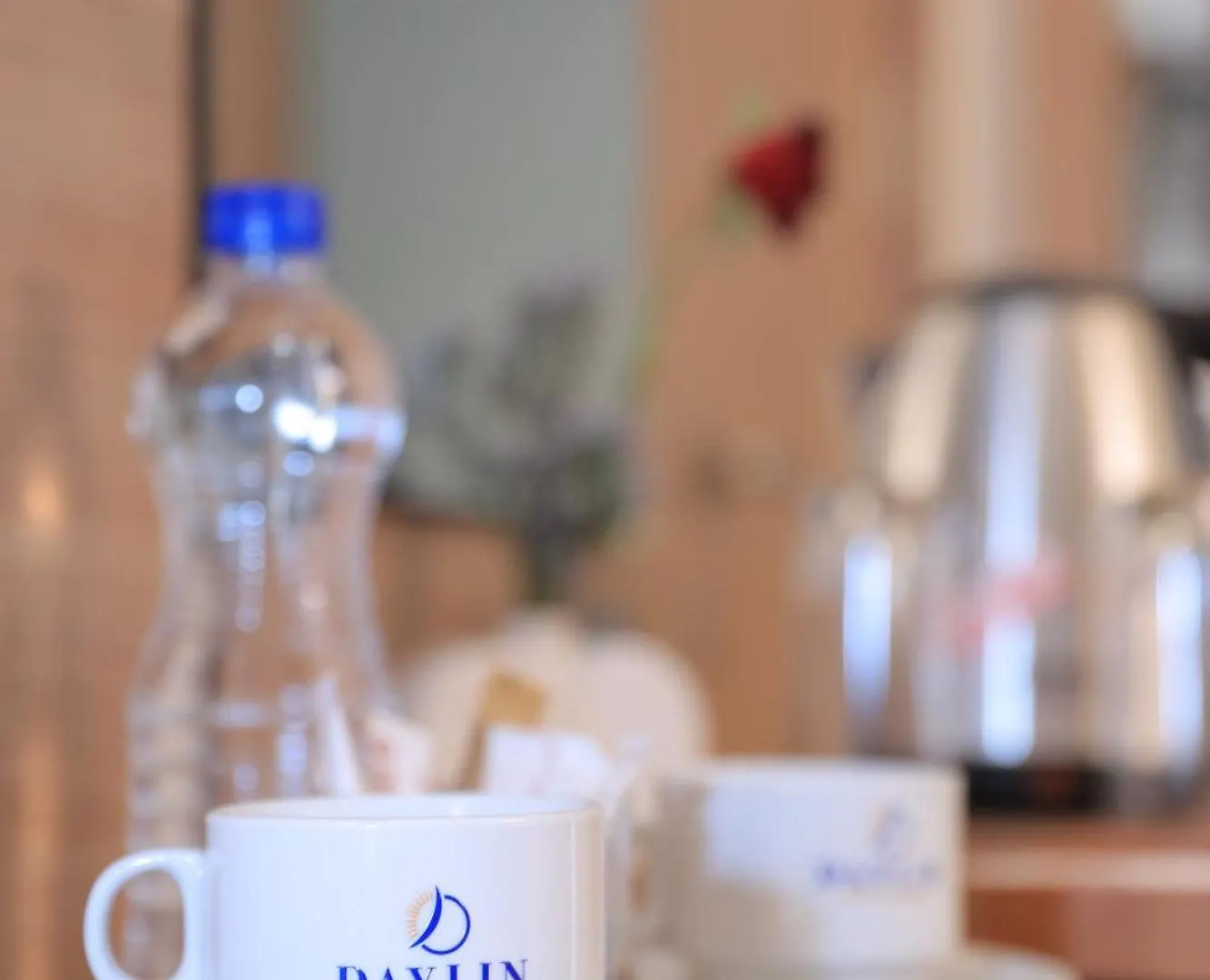 Daylin Guest House Аддис-Абеба